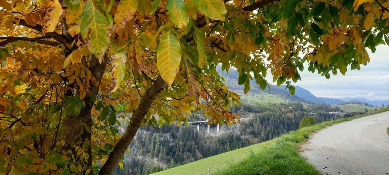 Апартаменты Steinhof Грис-на-Бреннере Экстерьер фото